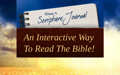 This is a great time to join our online community Bible study,